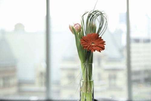 ©-Julie-Williams-2026-WLAO-Gala-24
